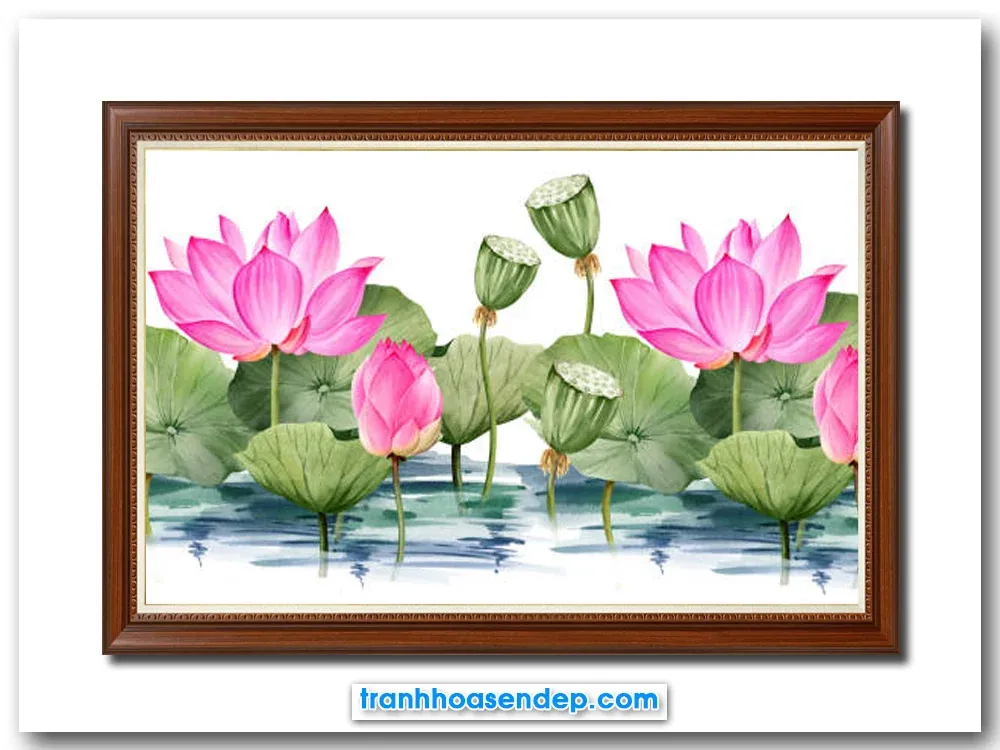 Hơn 300 ảnh vẽ hoa sen tinh tế